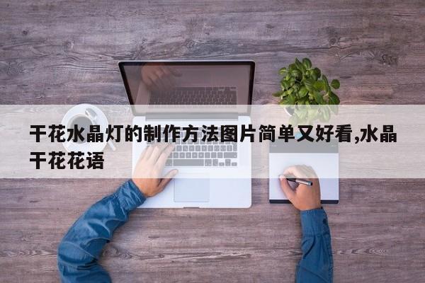 干花水晶灯的制作方法图片简单又好看,水晶干花花语