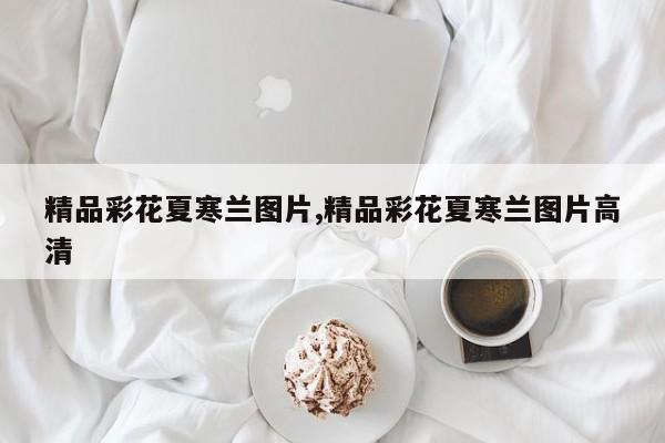精品彩花夏寒兰图片,精品彩花夏寒兰图片高清
