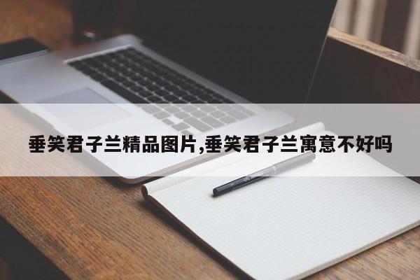 垂笑君子兰精品图片,垂笑君子兰寓意不好吗