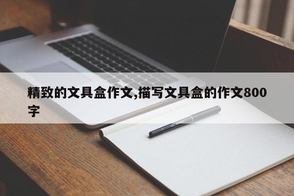 精致的文具盒作文,描写文具盒的作文800字