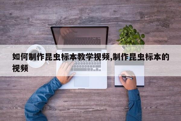 如何制作昆虫标本教学视频,制作昆虫标本的视频