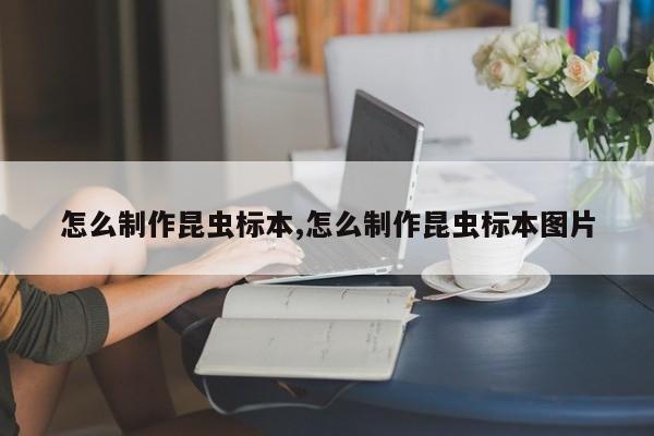怎么制作昆虫标本,怎么制作昆虫标本图片