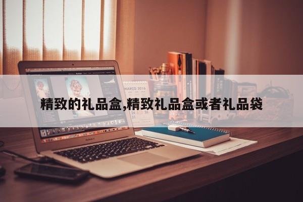 精致的礼品盒,精致礼品盒或者礼品袋