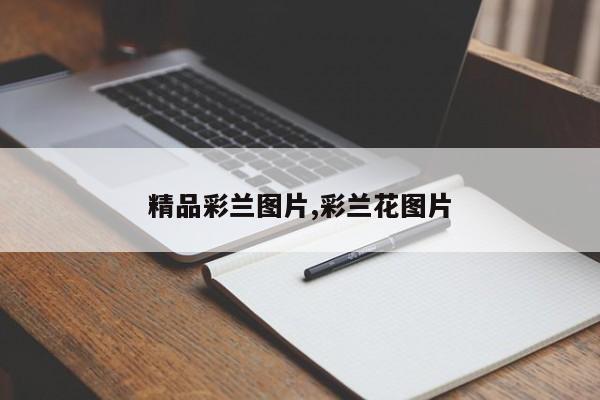 精品彩兰图片,彩兰花图片